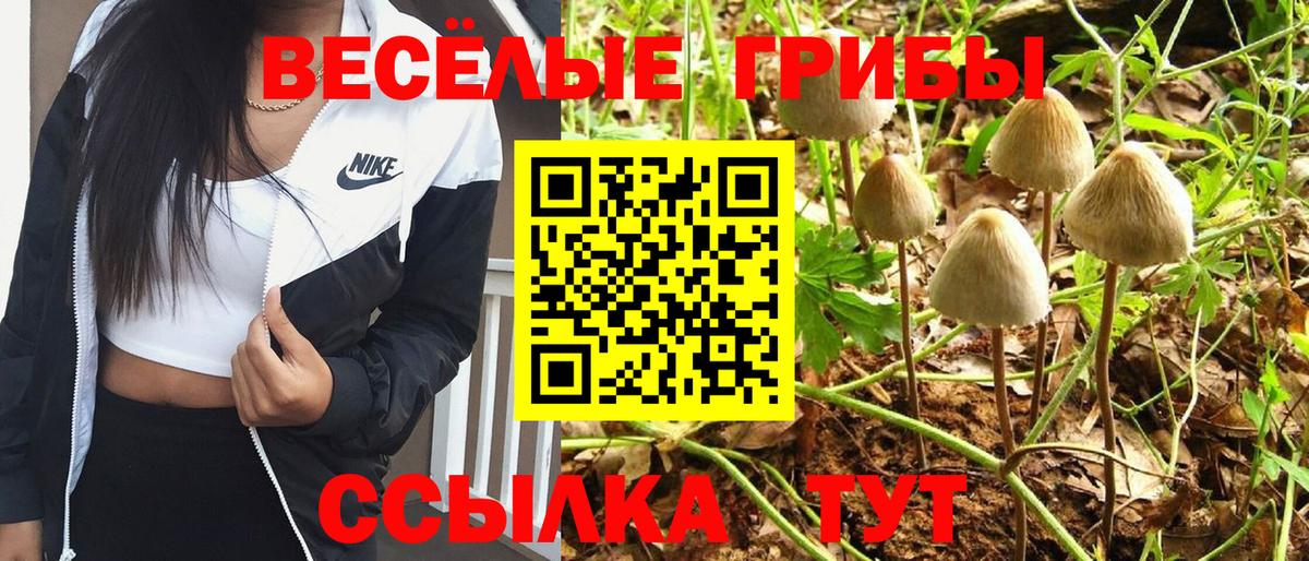 Галлюциногенные грибы MAGIC MUSHROOMS  Галлюциногенные грибы ЛСД  Вход с VPN  Печора 