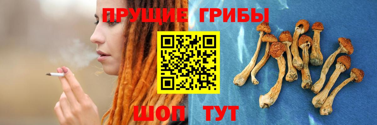 Галлюциногенные грибы мухоморы Печора